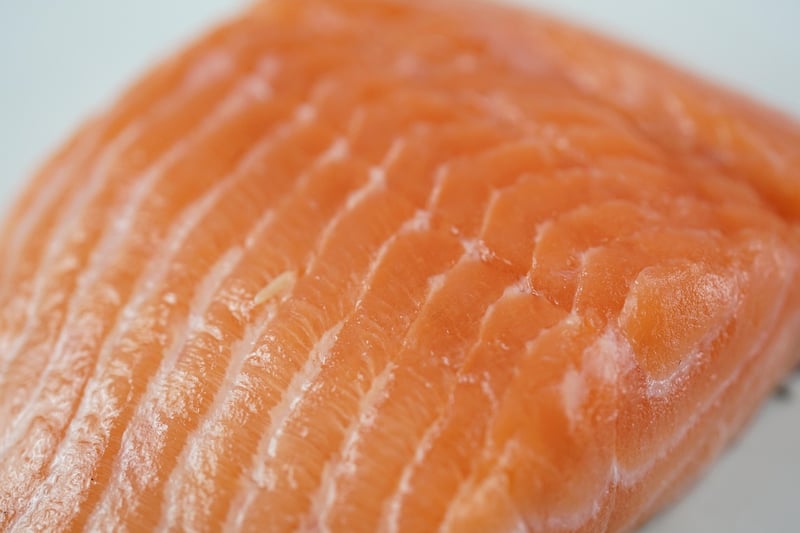 Salmon